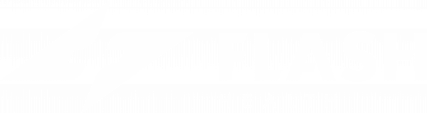 Flash Health